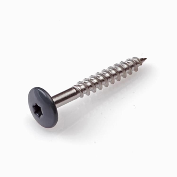 Schroeven voor montage Trespa platen - Torx 20 - 4,8x38mm - RVS - Deeldraad - Zwart RAL 9005 (100 stuks)