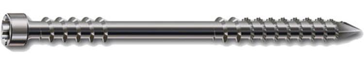 Spax - Vlonderschroeven - Steigers en Bruggen - 8 x 120mm - Torx 40 - Deeldraad - RVS A4 (50 stuks)