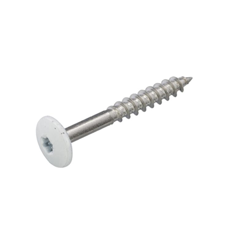 Schroeven voor montage Trespa platen - Torx 20 - 4,8x38mm - RVS - Deeldraad - Wit RAL 9010 (100 stuks) Schroeven voor montage Trespa platen - Torx 20 - 4,8x38mm - RVS - Deeldraad - Wit RAL 9010 (100 stuks)