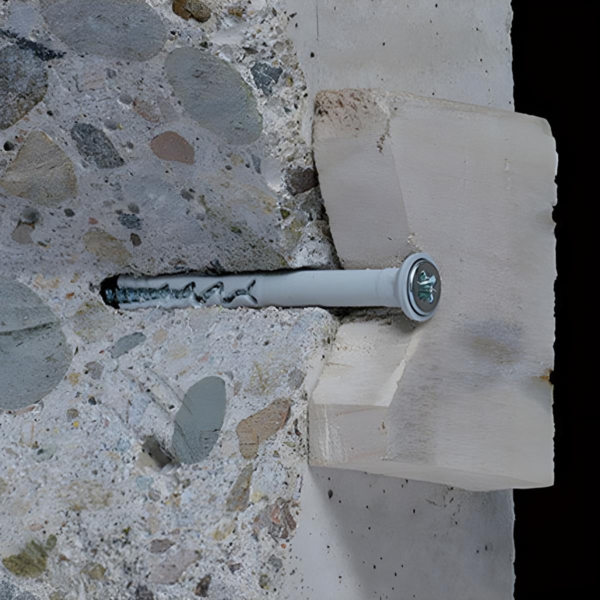 Radix - FX Pro - Nagelpluggen/Slagpluggen - Verzonken kop - 6 x 40/10mm (100 stuks) Radix - FX Pro - Nagelpluggen/Slagpluggen - Verzonken kop - 6 x 40/10mm (100 stuks)