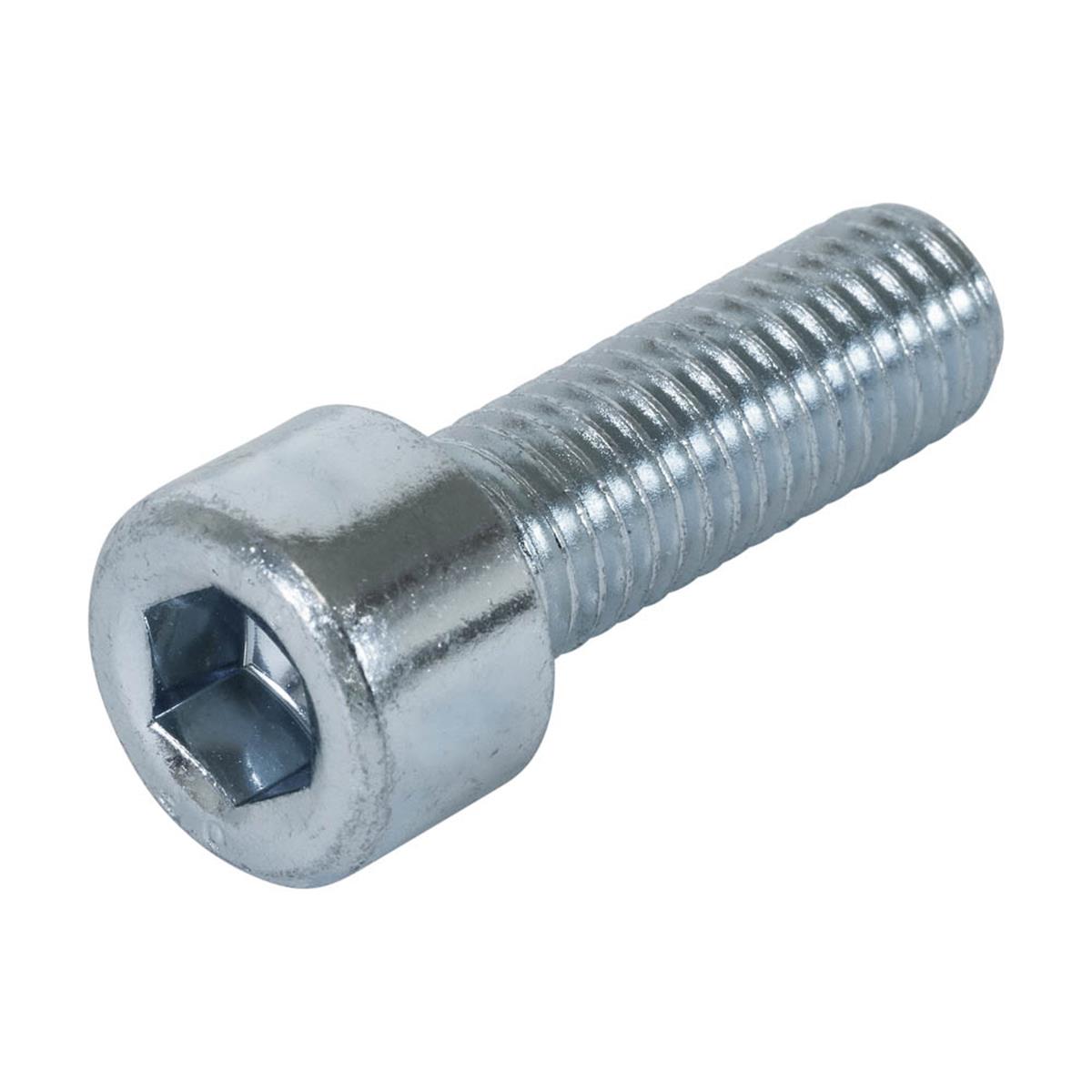 Binnenzeskantbout M10 x 30mm - Verzinkt - 8.8 - DIN 912 (200 stuks)