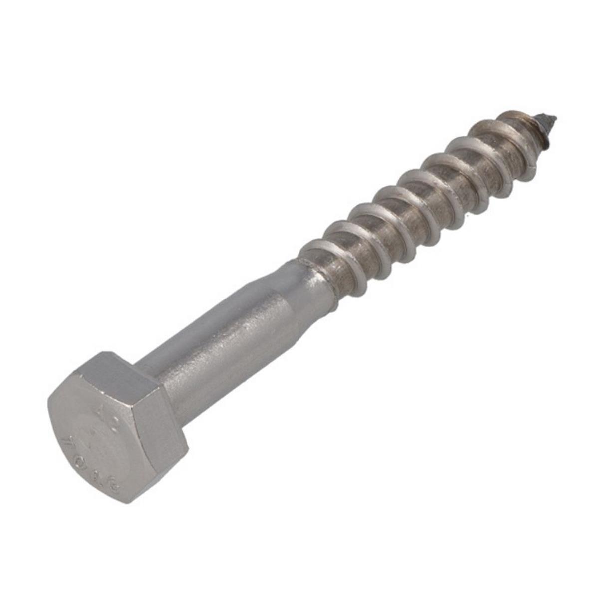 Houtdraadbouten - DIN571 Zeskant - M10 x 100mm - RVS (50 stuks)