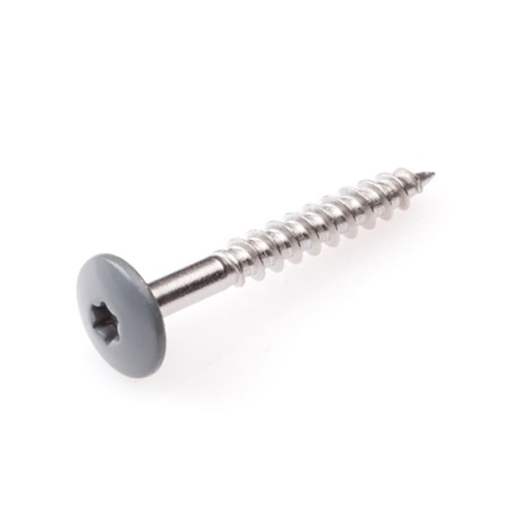 Schroeven voor montage Trespa platen - Torx 20 - 4,8x25mm - RVS - Deeldraad - Grijs RAL 7012 (100 stuks) Schroeven voor montage Trespa platen - Torx 20 - 4,8x25mm - RVS - Deeldraad - Grijs RAL 7012 (100 stuks)